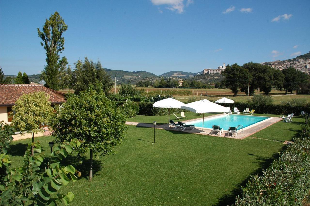 Il Podere Del Falco Assisi Ngoại thất bức ảnh