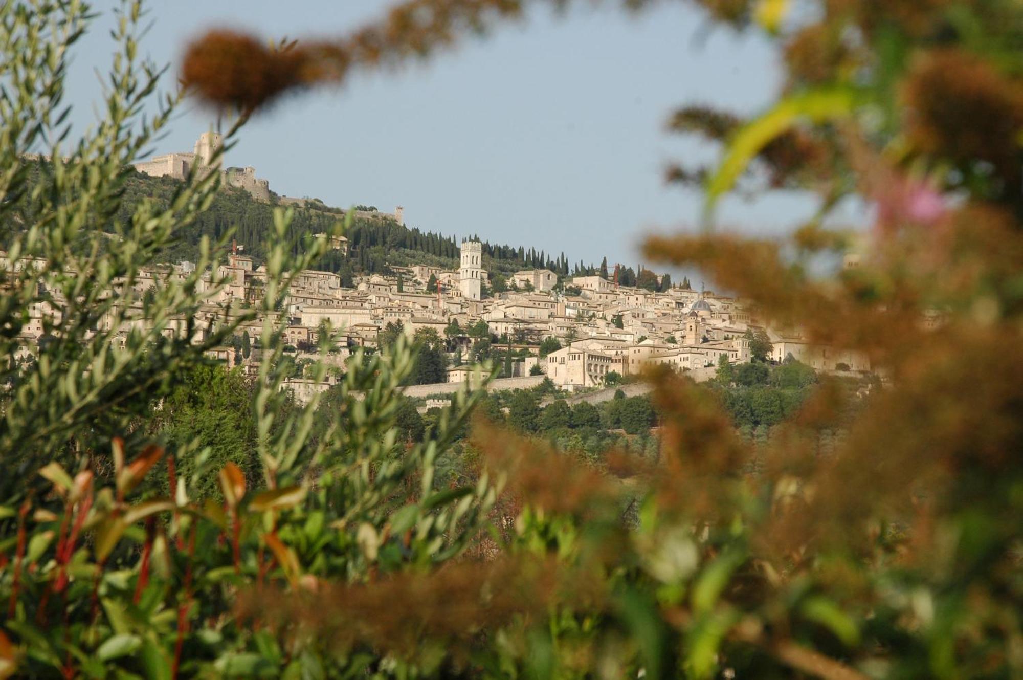 Il Podere Del Falco Assisi Ngoại thất bức ảnh