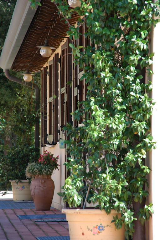 Il Podere Del Falco Assisi Ngoại thất bức ảnh